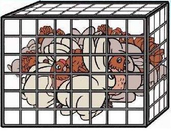 吃鸡要注意哪些东西的安全,吃鸡的忌口