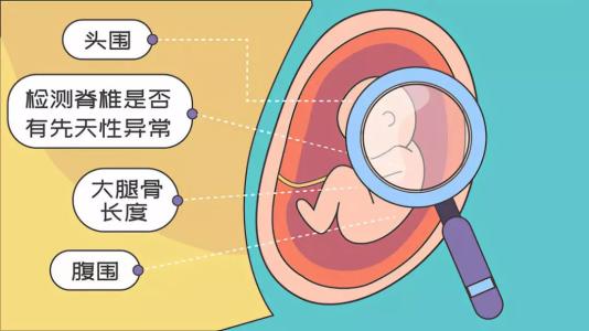 新生儿出生多久不能敲钉子,为什么家里有新生儿不能钉铁钉