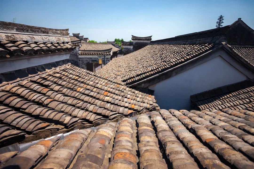 开元集团发展历史,开元集团的发展历程