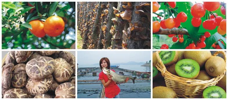 陈东升、阎志来站台，湖北这市又搞大事情