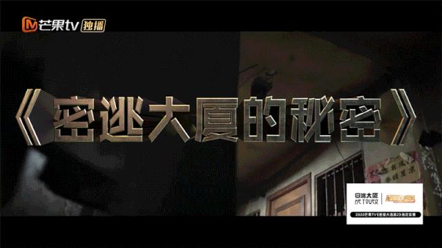 最新密室大逃脱杨幂状态,杨幂密室大逃脱吓瘫