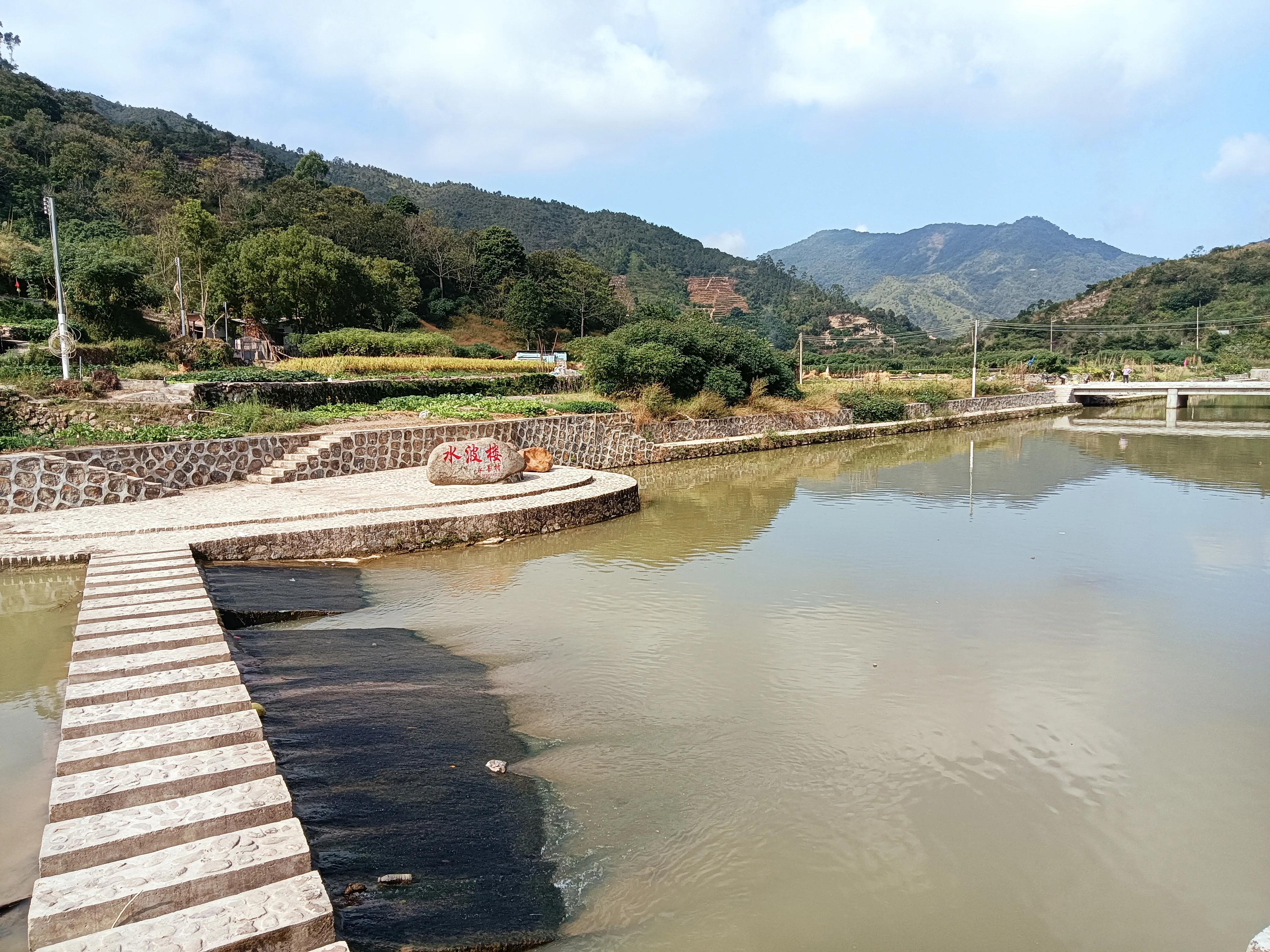 饶平三饶四方塘老榕树在哪里,榕树爷爷是合唱还是独唱