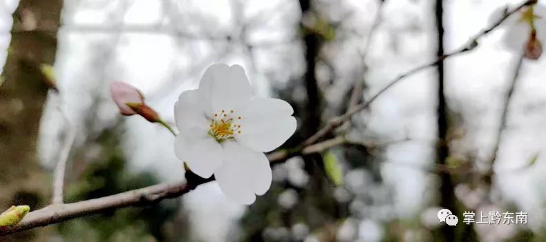 家有高中生家长该不该陪读,家有高中生家长的感悟