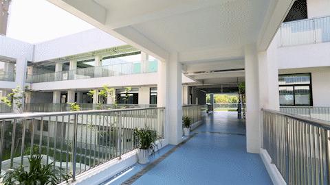 柘林新建幼儿园,柘林新塘路新建幼儿园