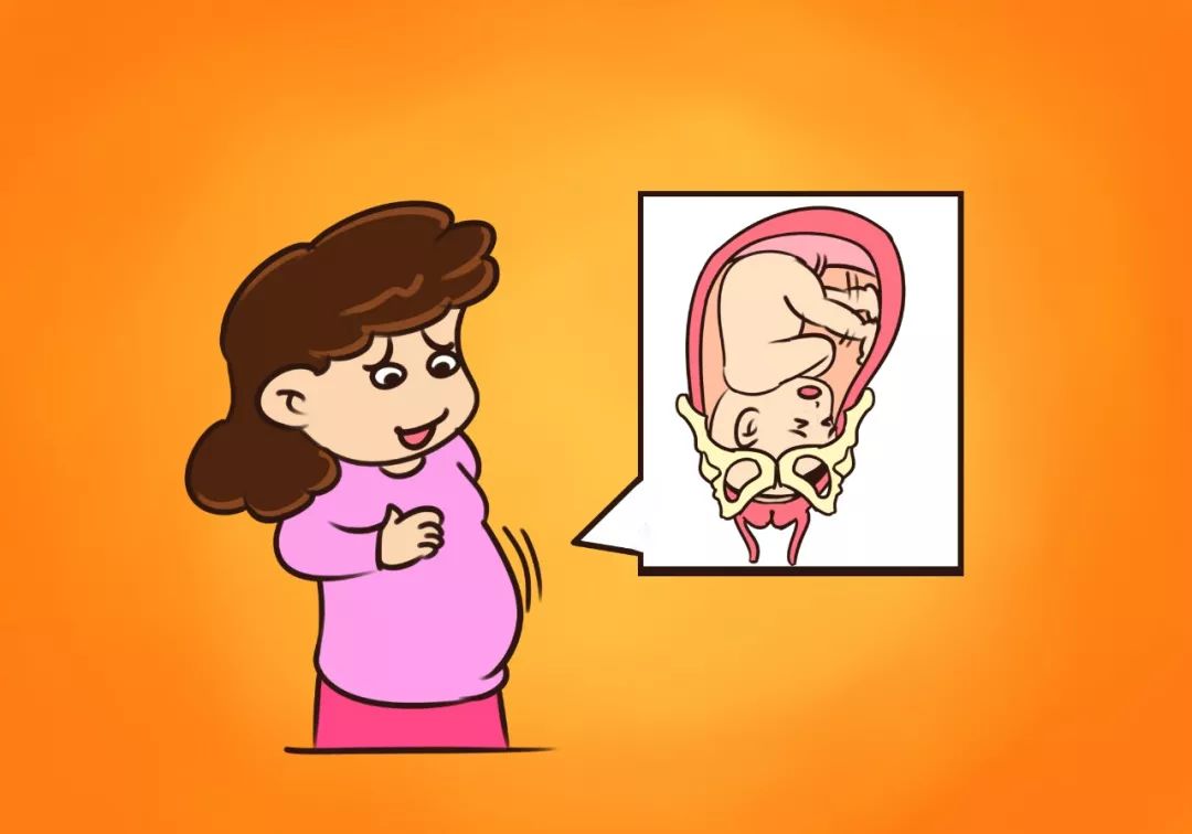 胎动位置和胎位有关系吗,胎动多数在左边有什么说法