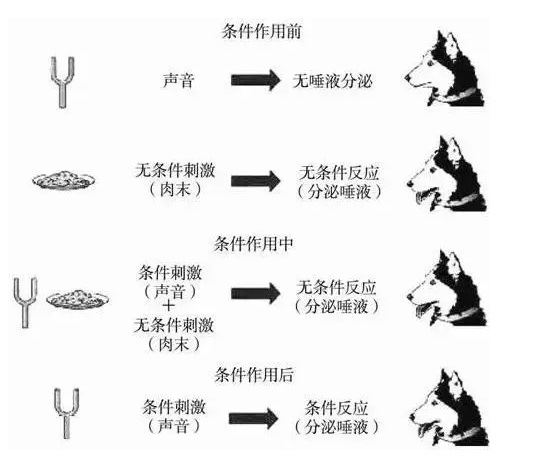 怎么戒掉抓娃娃机,沉迷于抓娃娃是一种什么心理