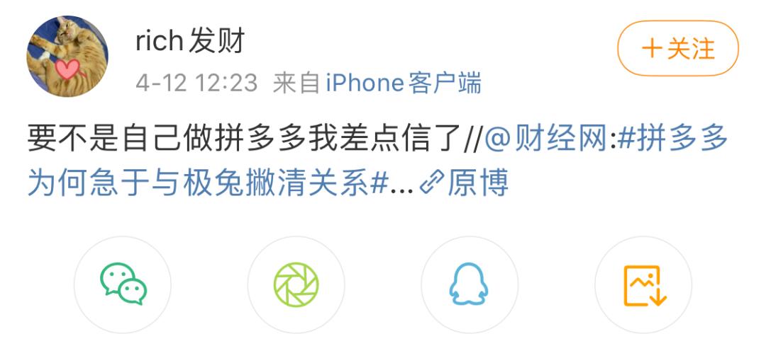 疯狂的兔子被撞,疯狂的兔子被小鸡啄