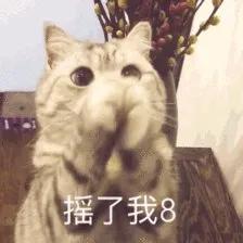 侑子代班618剁手攻略！美妆TOP10