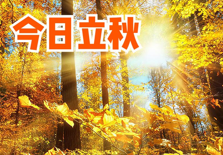 今天立秋在什么时分,今日立秋还是明天立秋
