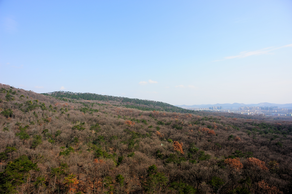 南京最低调的古寺，朱元璋御封为“天下第一禅林”，知道的人不多