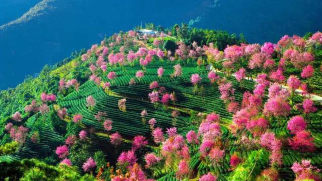 2020旅行时间表,2021年旅行时刻表出炉