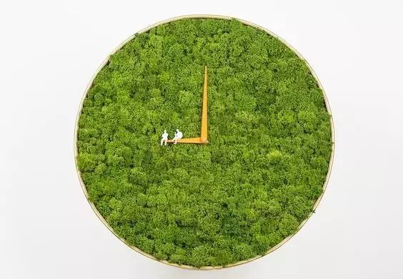 置爱｜植物1.0是种在盆儿里的，植物2.0都趴在墙上的