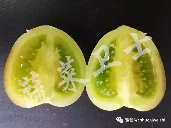 番茄花脸用啥治疗最快,番茄花脸果怎么形成的