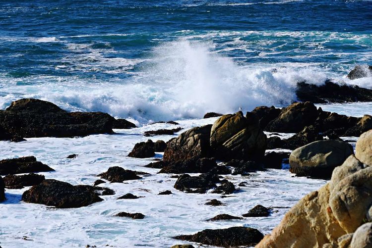 美国德州西部自由行,美国西海岸可以自由航行么