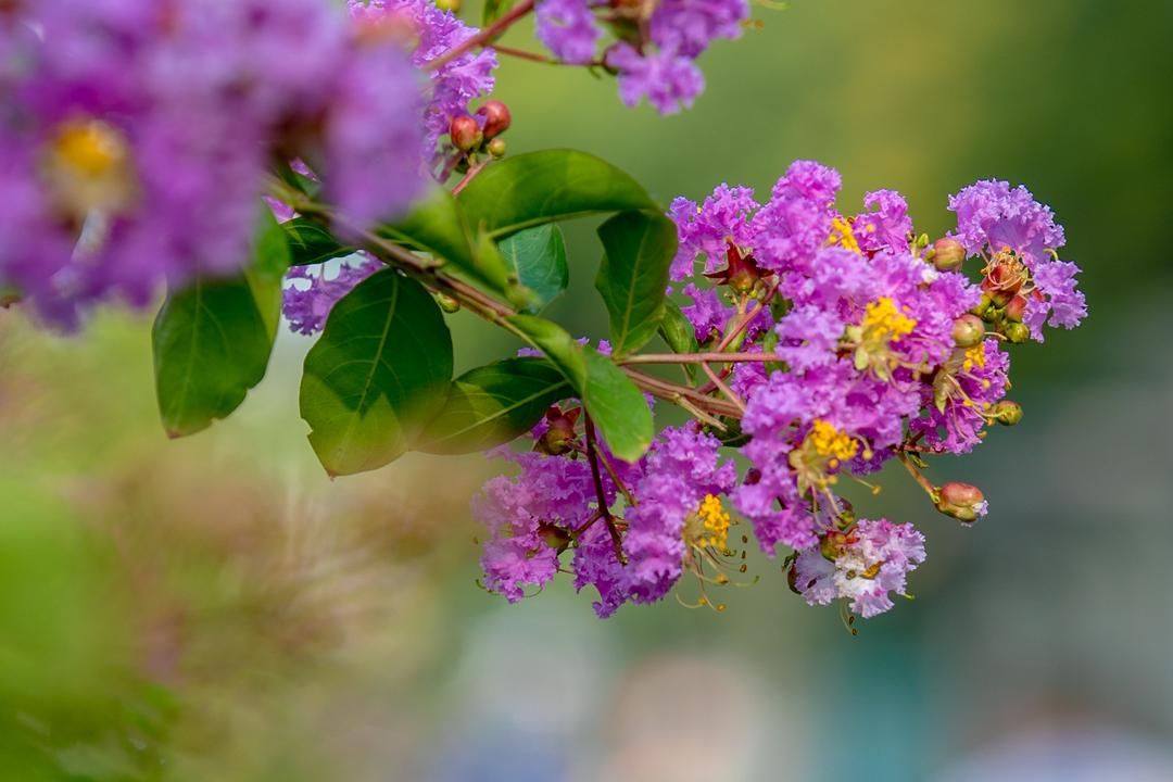 在济南花式避暑，一见“清”心！只需一瞥，便足以把酷夏原谅…