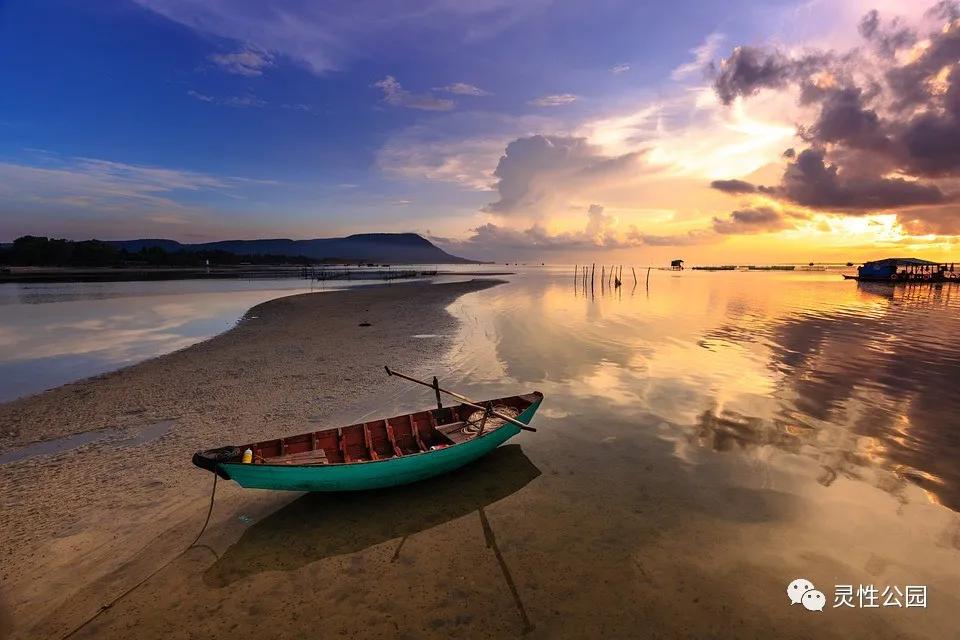 你值得过更好的生活第十二章,你值得过更好的生活全书重点