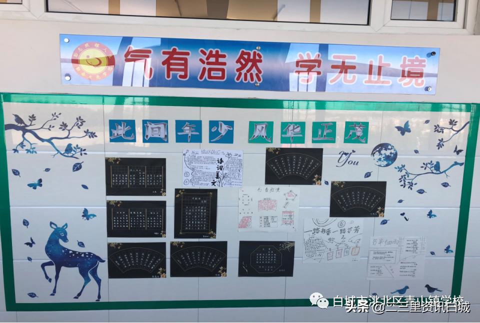 扎根基层奉献青春乡村教师,扎根乡村教育教师视频