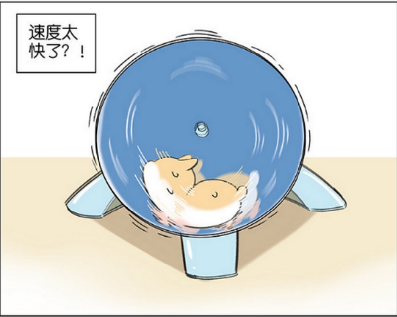 仓鼠的跑步速度有多快,小仓鼠跑步有多快