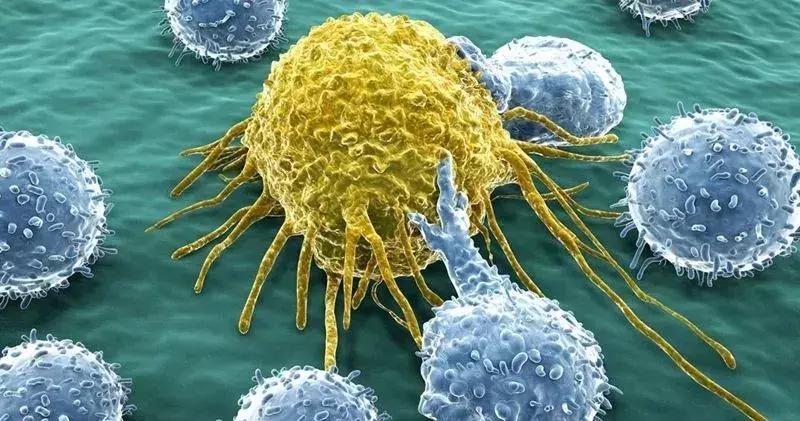 干细胞治疗肺癌症靠谱吗,造血干细胞治疗癌症