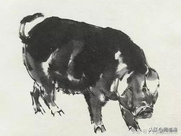 国画工笔猪图片,大写意画猪国画作品