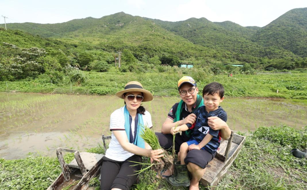 赵丽颖吃苹果vs杨幂吃米饭,赵丽颖明星吃东西视频