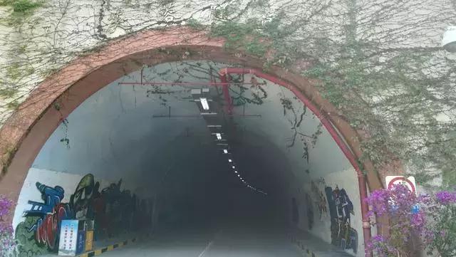 厦大的涂鸦,厦大涂鸦长廊