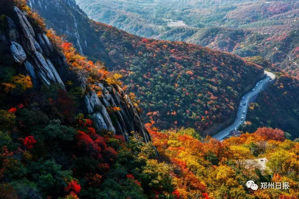 向世界推荐河南,向世界推介郑州