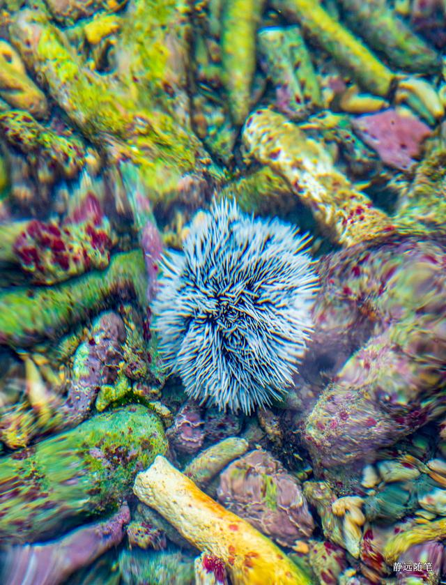加勒比海邮轮旅行香港,加勒比海游轮旅行视频大全