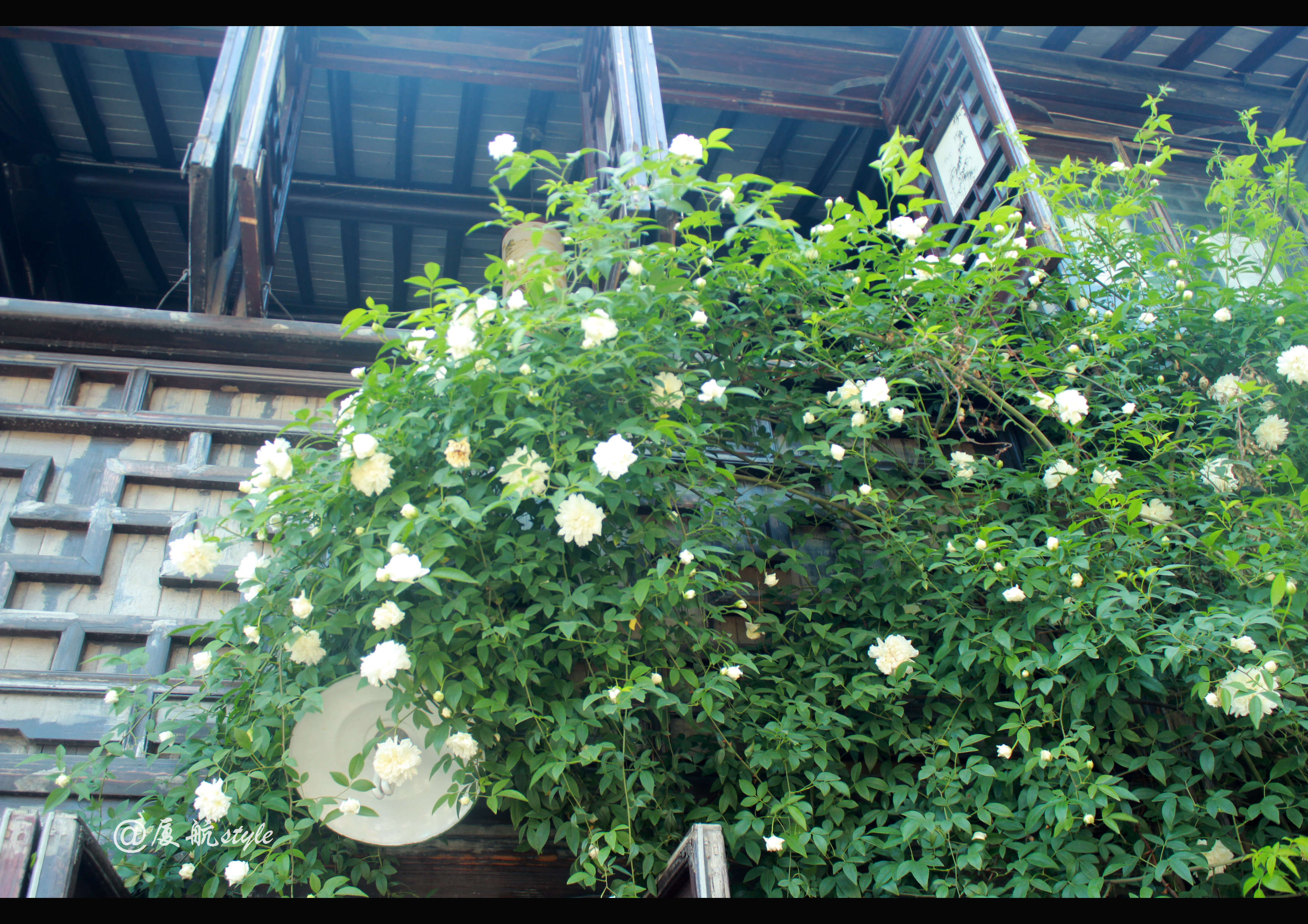 美丽的人间天堂，有着历史悠久的老街，因美食闻名天下