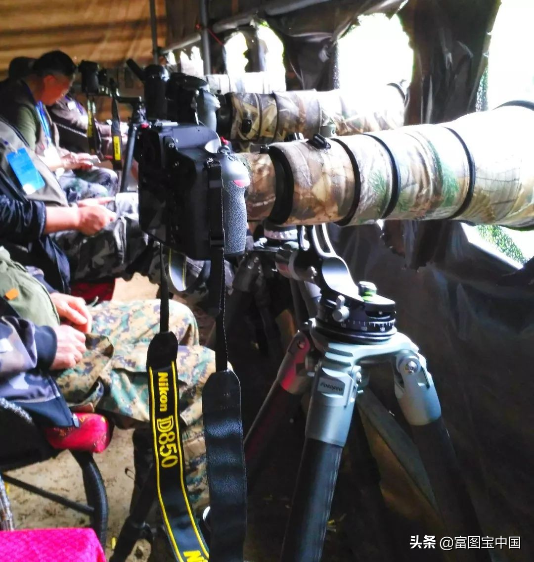 新手入门三脚架如何选择,怎么挑选三脚架的高度