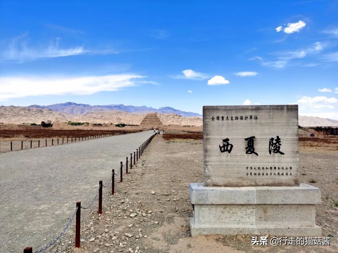 超出预期的大西北第一站，我要吹爆银川！吃玩住行全含