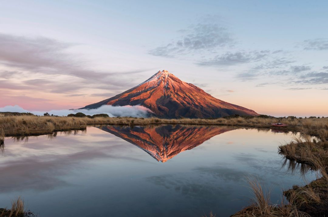 新西兰为什么那么发达,新西兰为什么这么牛