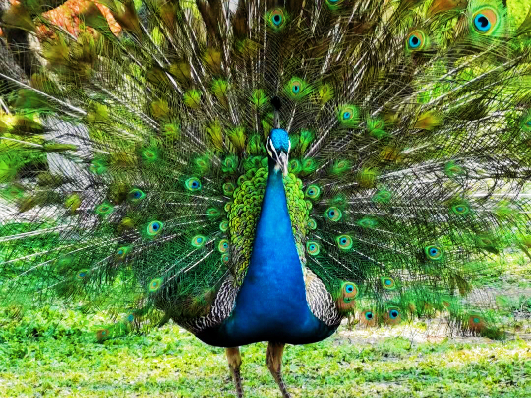 西安最新湿地公园,西安国家湿地公园