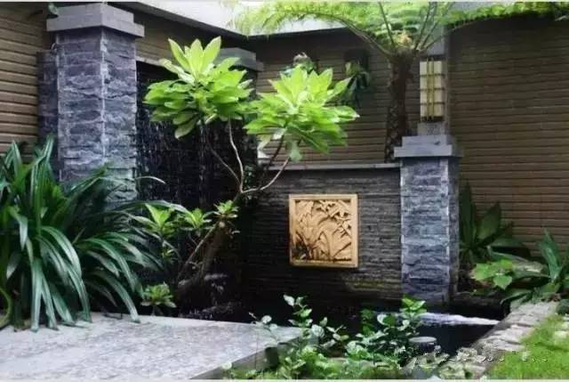 北方庭院室外耐寒植物,庭院驱蚊效果最好植物