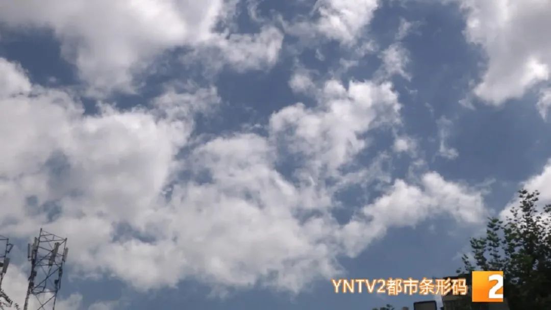 云南“淡定”入伏后将续闷热！春城昆明仍是避暑胜地