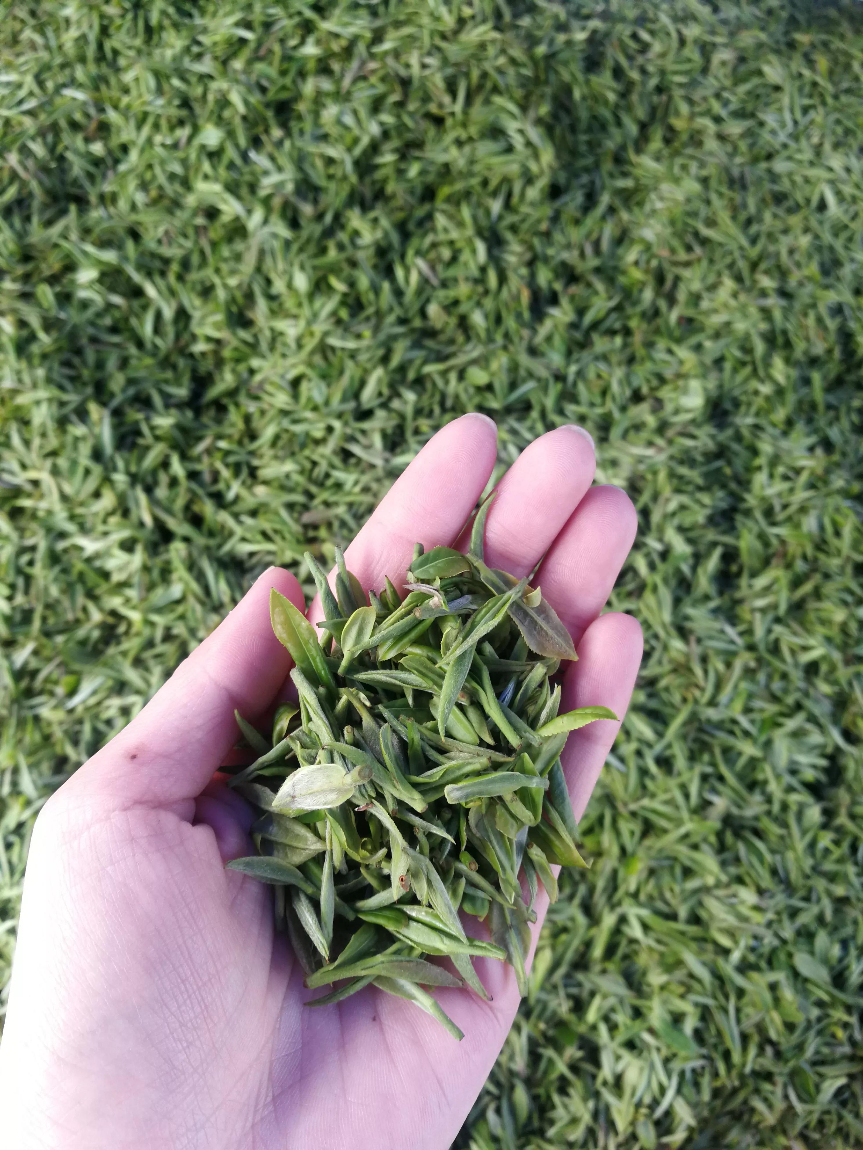 真的会有人愿意听我诉说吗,有哪些真心话是想对你男朋友说的