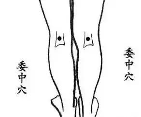 三高拍打健身操30分钟完整版,拍打操降三高养气血