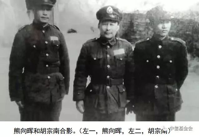 电视剧熊向晖提供的绝密情报,熊向晖特工电影