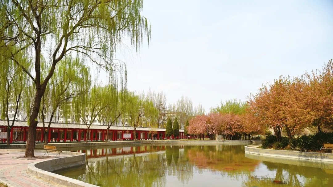 保定高考志愿填报服从调剂,河北保定学院单招录取分数线