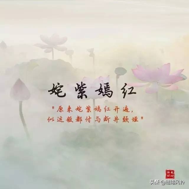 含有暗香的古诗成语,古诗词中的绝美成语