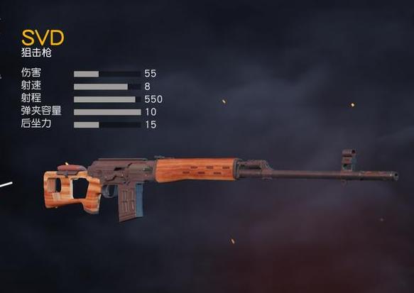 svd属于狙击枪还是精确射手步枪,svd狙击步枪到底有多强