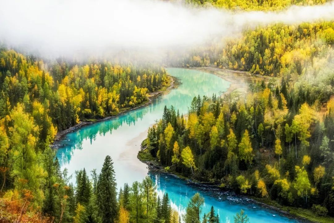 刮痧痧象解读,刮痧拔罐好学吗