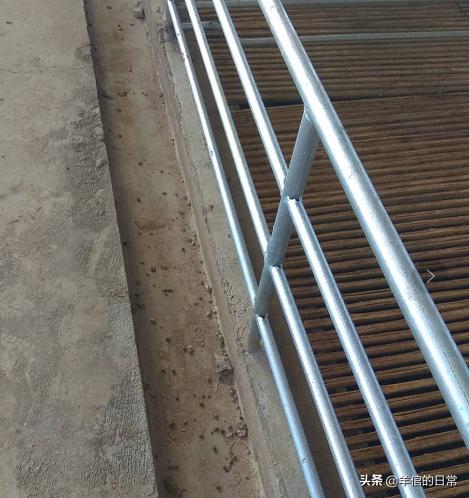 绵羊养殖技巧教学,绵羊的正确养殖方法