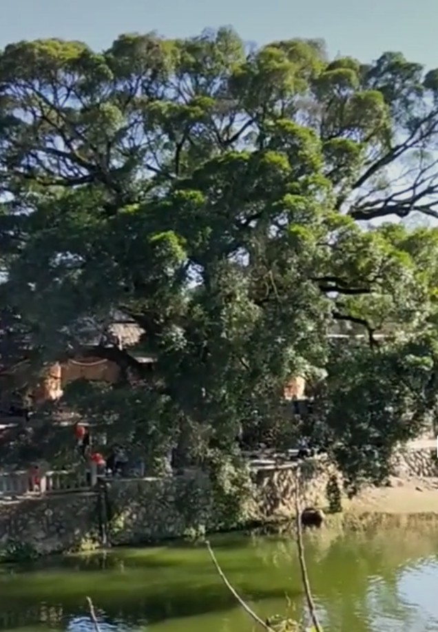 漳州南靖云水谣旅游攻略几公里,福建漳州南靖云水谣之旅