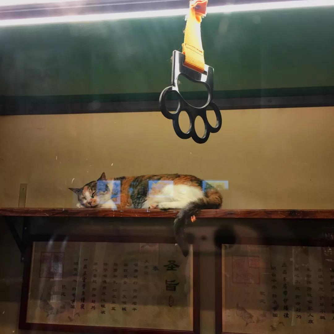 厦门海岸线咖啡网红打卡地地址,厦门观音山网红打卡地