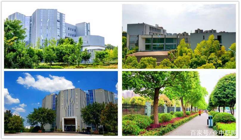 开设电竞专业的高职学校,重庆森海电竞学院