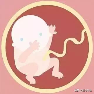 中医是一门什么科学,最全面的中医专业