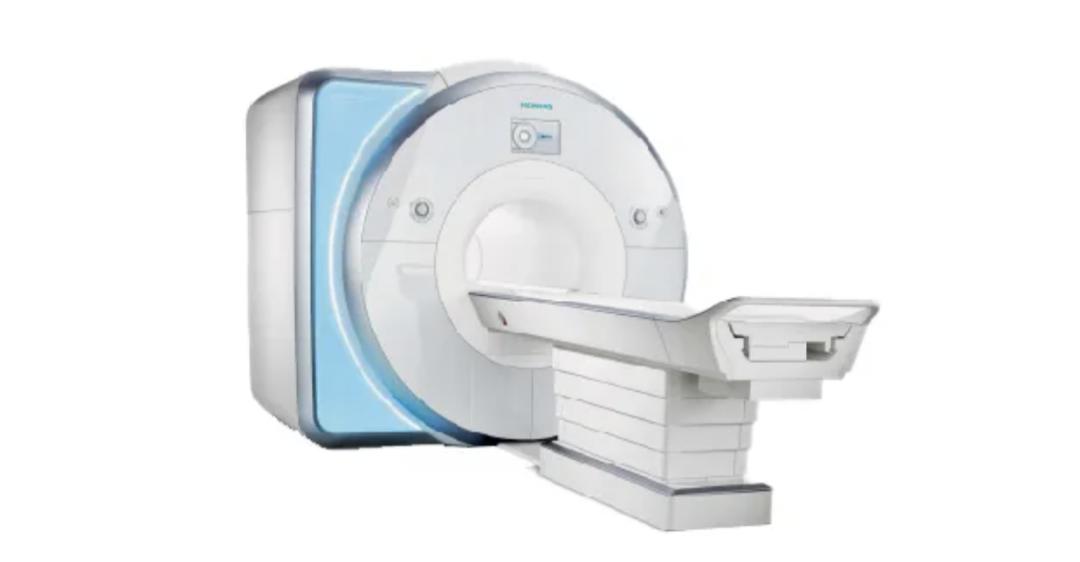 狗狗喜欢追逐移动的东西,狗狗前十字韧带撕裂