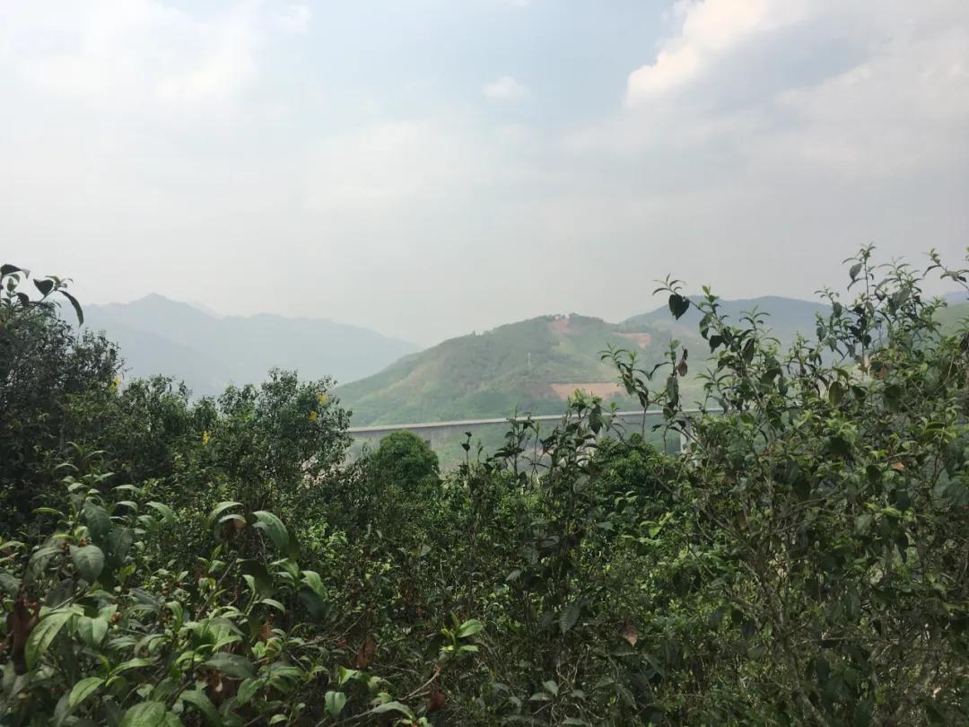 昔逐红尘千里归,昔逐红尘千里归出自哪里