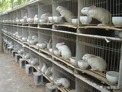 莱芜新闻播报,央视新闻报道莱芜区